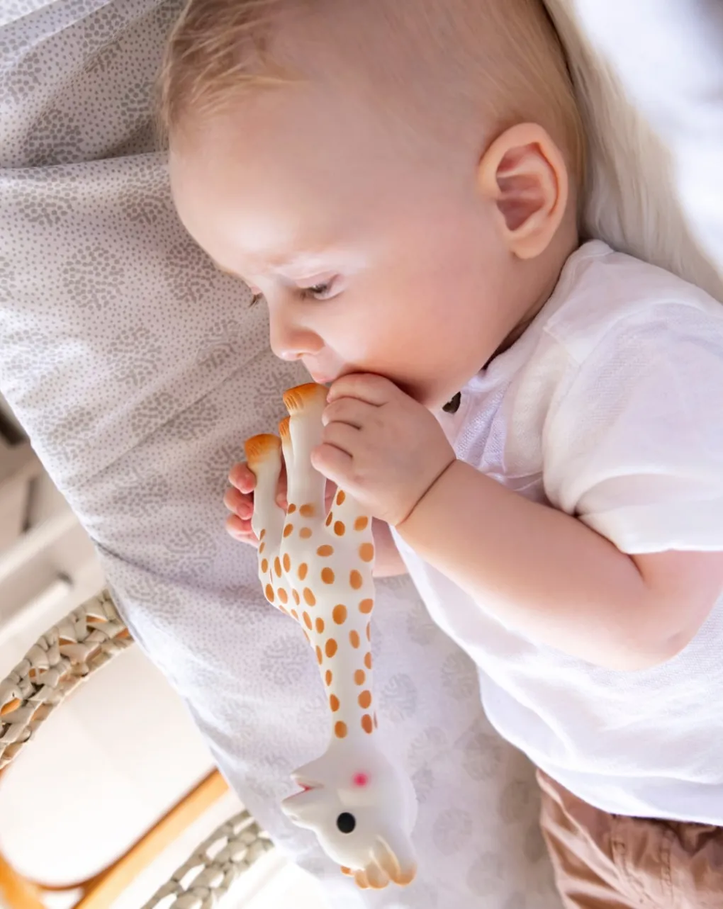 SOPHIE LA GIRAFE Giochi Primi Mesi-Cofanetto Creazione Tenerezza N. 1 - Vulli