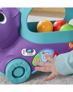 Fisher-Price Giochi Primi Mesi-Dino Impara E Cammina - Fisher Price