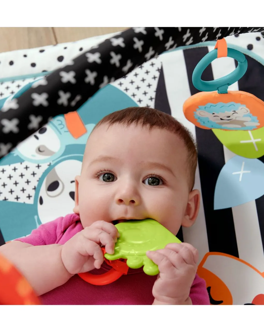Fisher-Price Giochi Da Passeggio-Fisher Price - Palestrina Luci E Suoni Degli Amici Animali 3-In-1