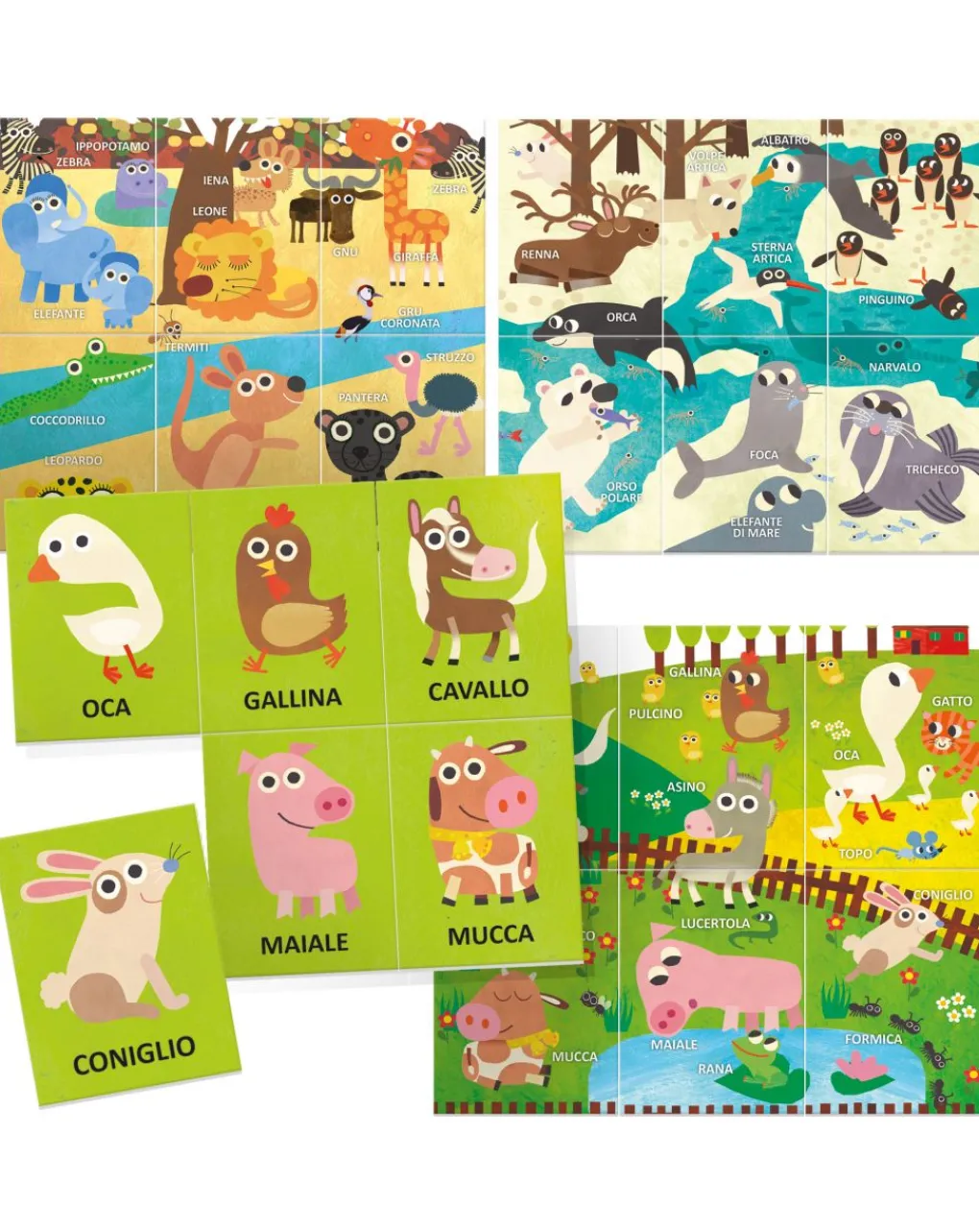 Headu Giochi Didattici-Flashcards Enciclopedia Animali Montessori. Scopri Gli Animali E I Loro Ambienti 2/4 Anni -