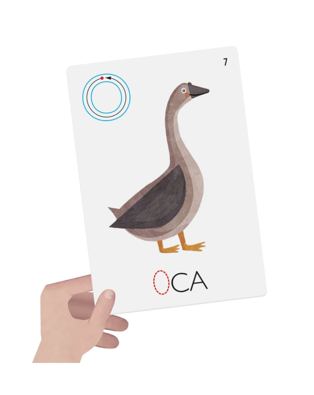 Headu Giochi Didattici-Flashcards Lavagnette Leggo E Scrivo. Leggere E Scrivere Fin Da Piccoli! 3/6 Anni -