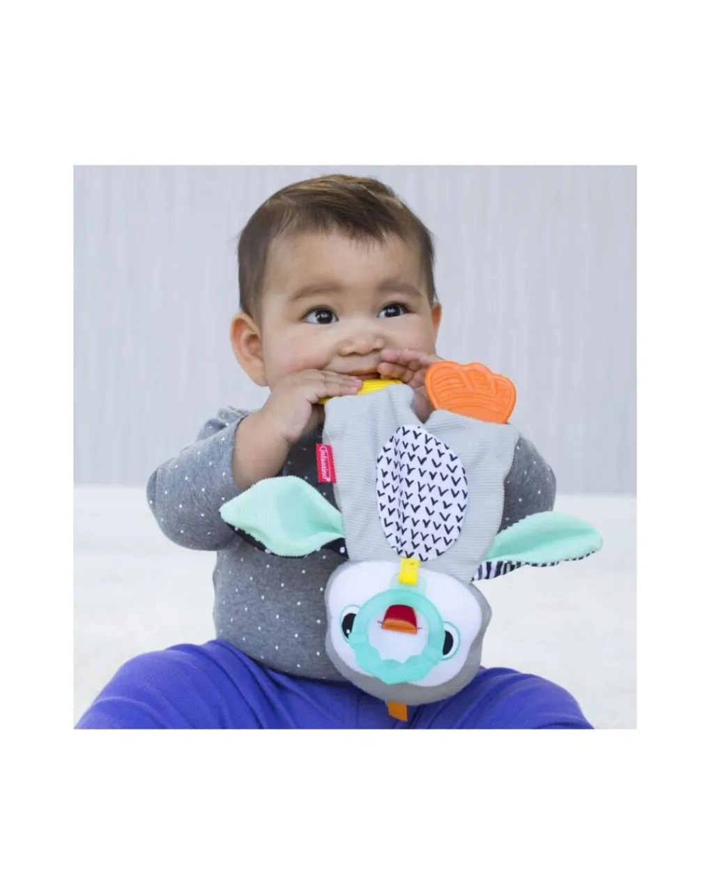 Infantino Giochi Primi Mesi-- Dentaruolo Pinguino