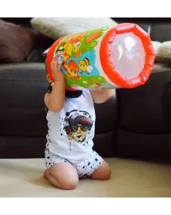 Playgro Giochi Primi Mesi-- Peek In Roller