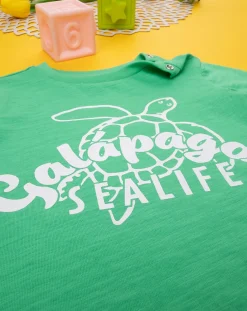 Prenatal Magliette Camicie E Body-T-Shirt Bimbo Verde